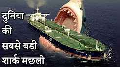 Largest Shark in the world (Megalodon) Hindi full movie download